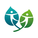 少妇被多人C夜夜爽爽AV